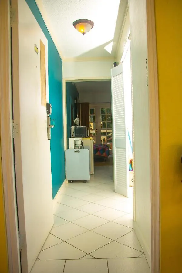 E 20 Mystic Ridge Ocho Rios Apartment